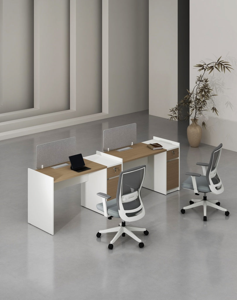 Feta Series - Single side workstation (Cluster of 2) with Pedestal having 1 drawer and 1 filing cabinet