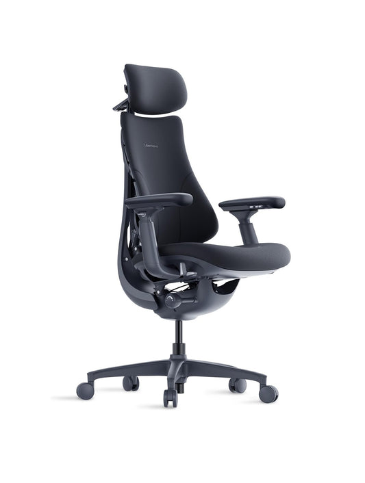 LiberNovo Ergonormic Chair