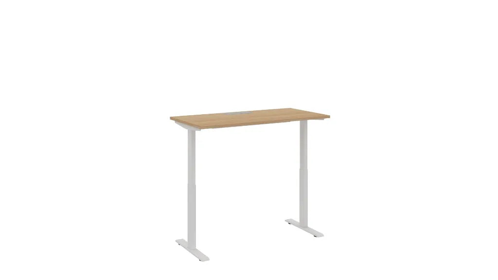 Lift Single Height Adjustable Table