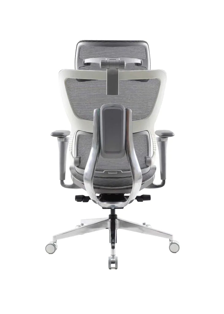 ALPHA Ergonnomic Mid Back Mesh Chair