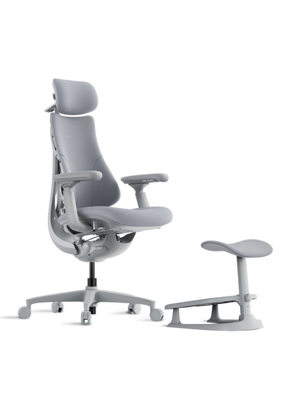 LiberNovo Ergonormic Chair