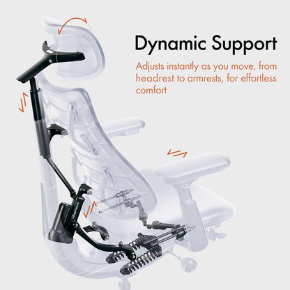 LiberNovo Ergonormic Chair