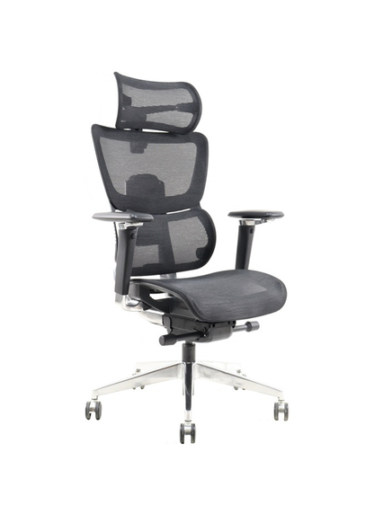 ALPHA Ergonnomic Mid Back Mesh Chair