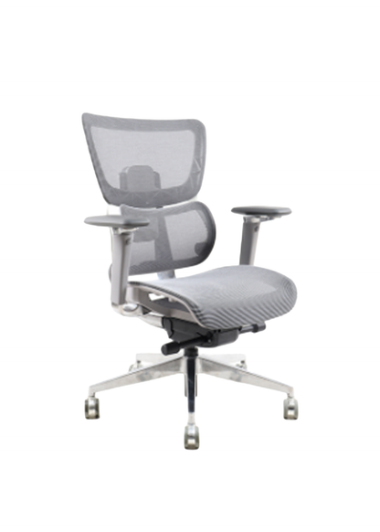 ALPHA Ergonnomic Mid Back Mesh Chair