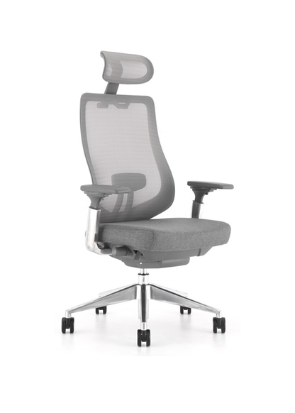 IVES Ergonomic Mesh Chair