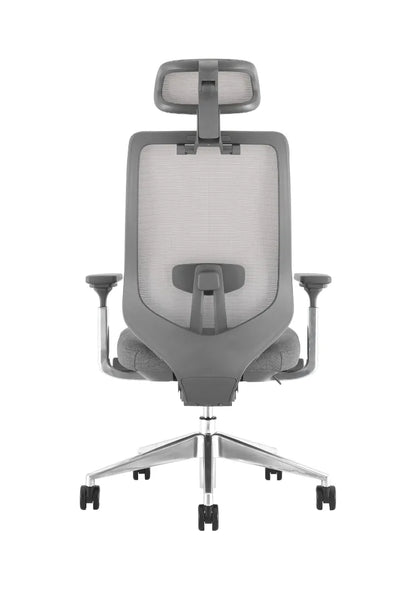 IVES Ergonomic Mesh Chair