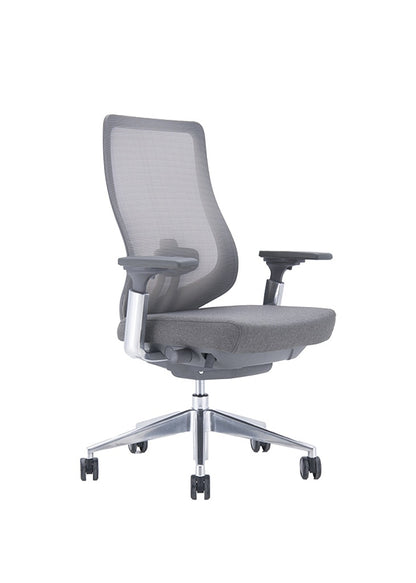 IVES Ergonomic Mesh Chair