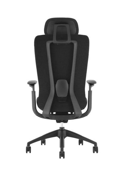 NEZA Ergonomic High Back Mesh Chair