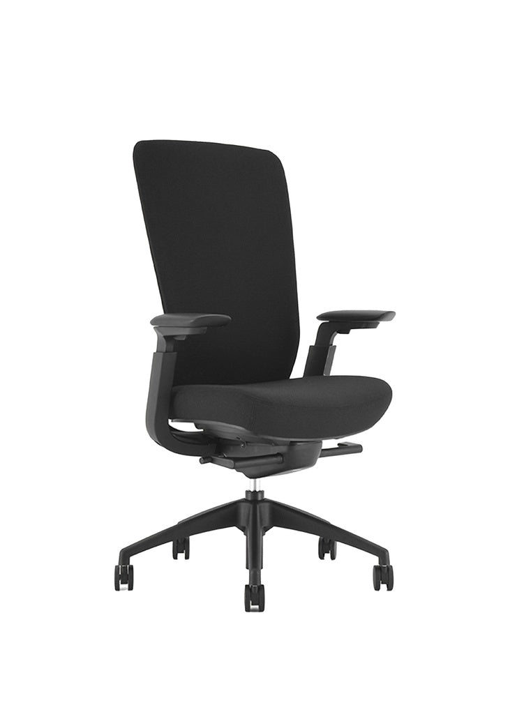 NEZA Ergonomic High Back Mesh Chair