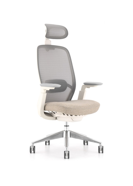 OASIS Ergonomic Mesh Chair