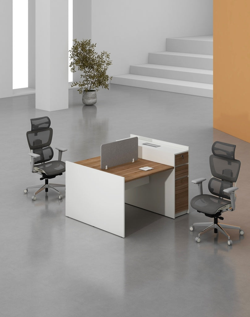 Feta Series - Double side workstation (Cluster of 2) with Pedestal having 2 drawers and 1 filing cabinet