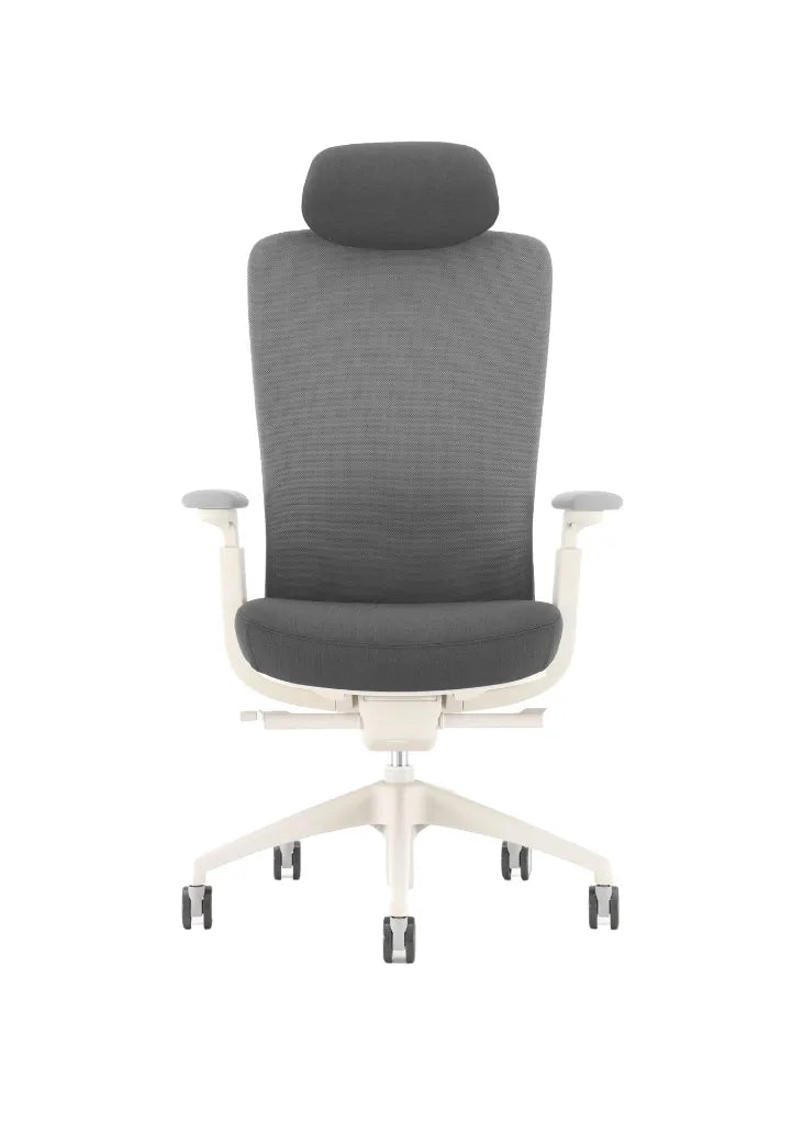 NEZA Ergonomic High Back Mesh Chair