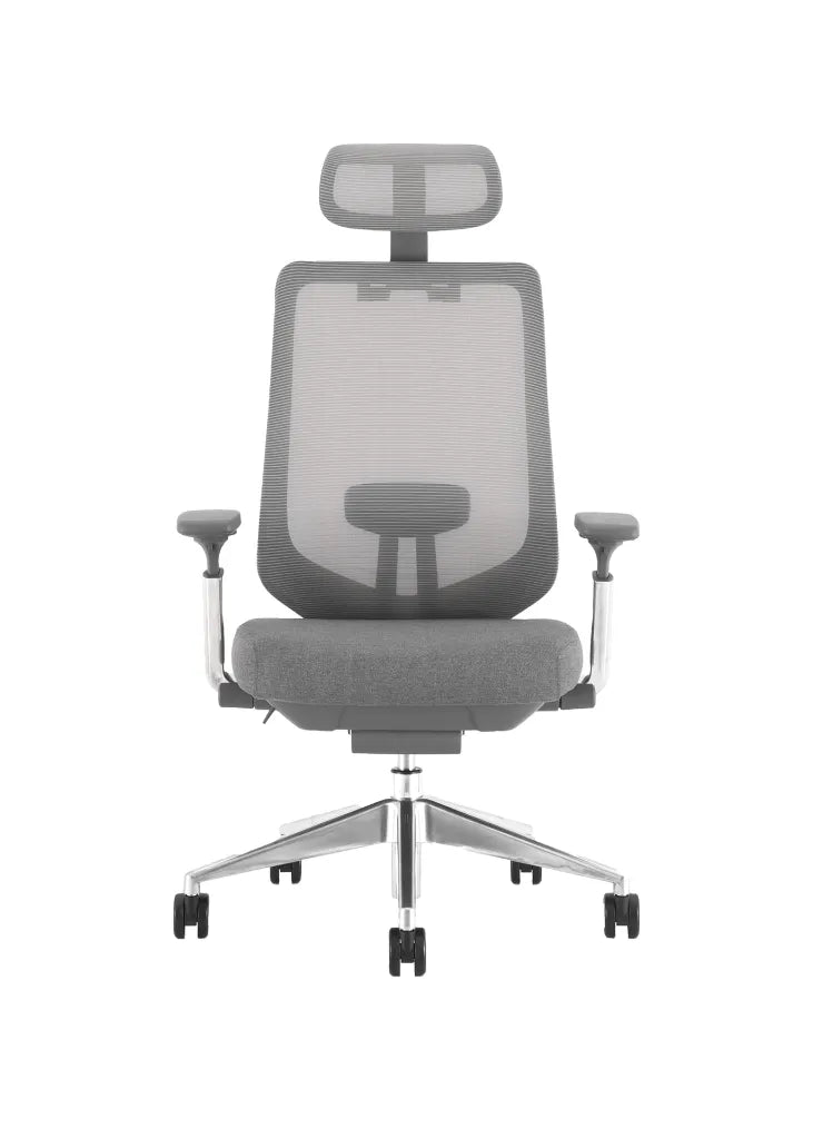 IVES Ergonomic Mesh Chair