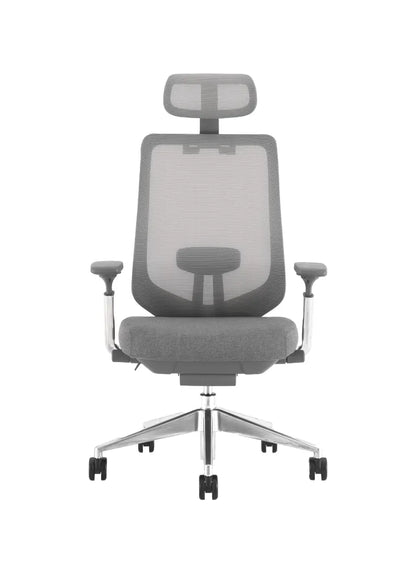 IVES Ergonomic Mesh Chair