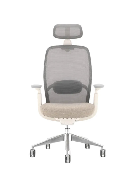 OASIS Ergonomic Mesh Chair