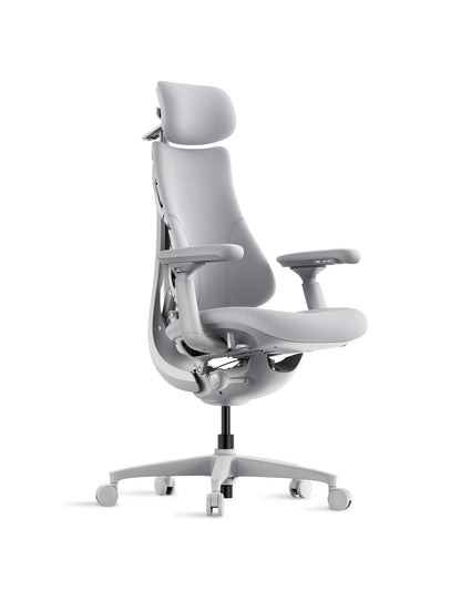 LiberNovo Ergonormic Chair